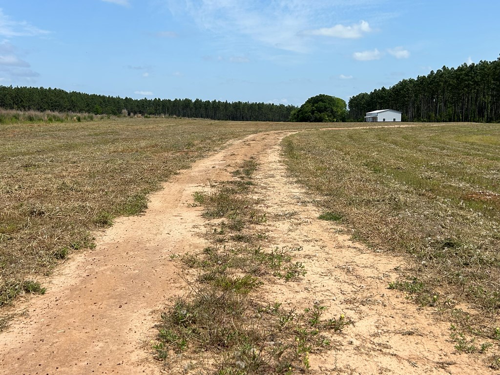 10907-44 -ac) Cty Road Hartford, AL 36344 - Photo 15 of 52