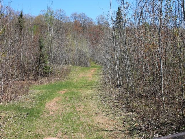 19081 Erickson Drive Dunbar, WI 54119 - Photo 71 of 87