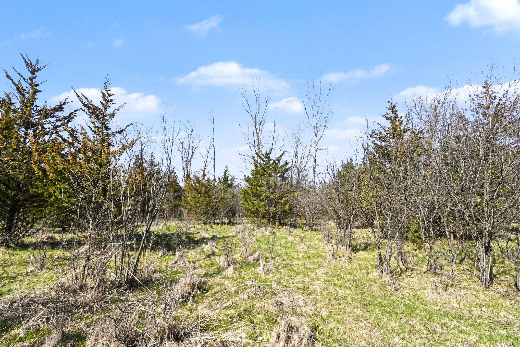 0 Horton Road Jackson, MI 49203 - Photo 11 of 15 015_file_7615