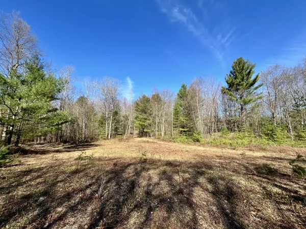 $69,900 | Off Oswegatchie Trail Road, Star Lake, NY 13690