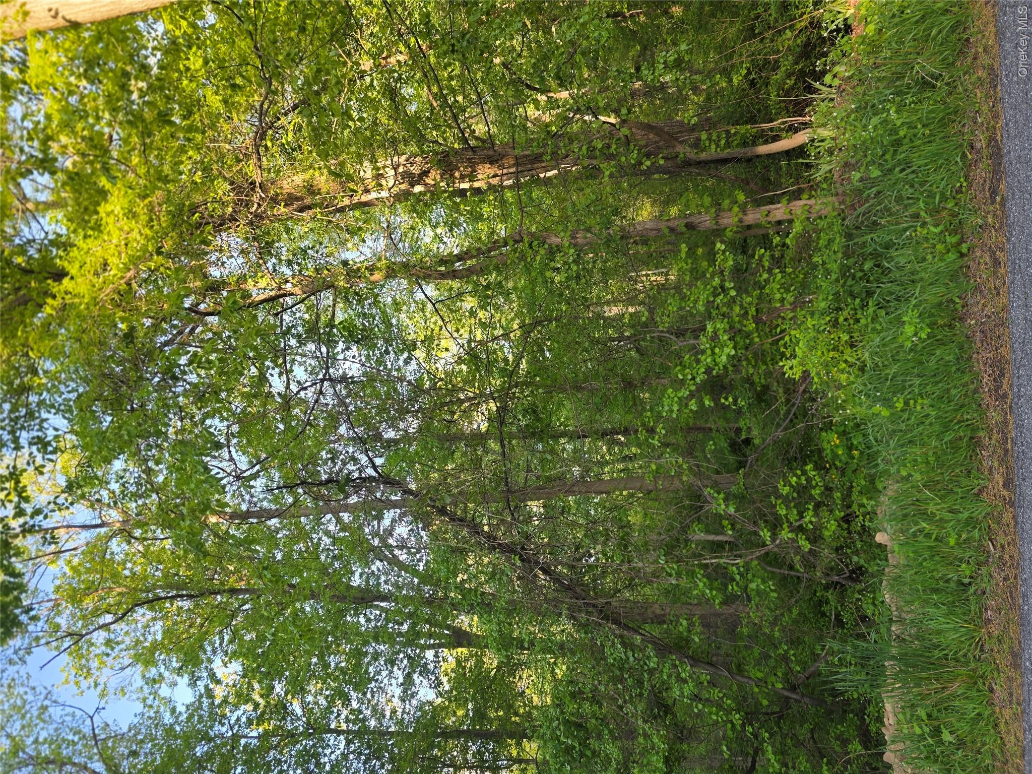 122 Archer Road Mahopac, NY 10541 - Photo 3 of 5 a view of a yard