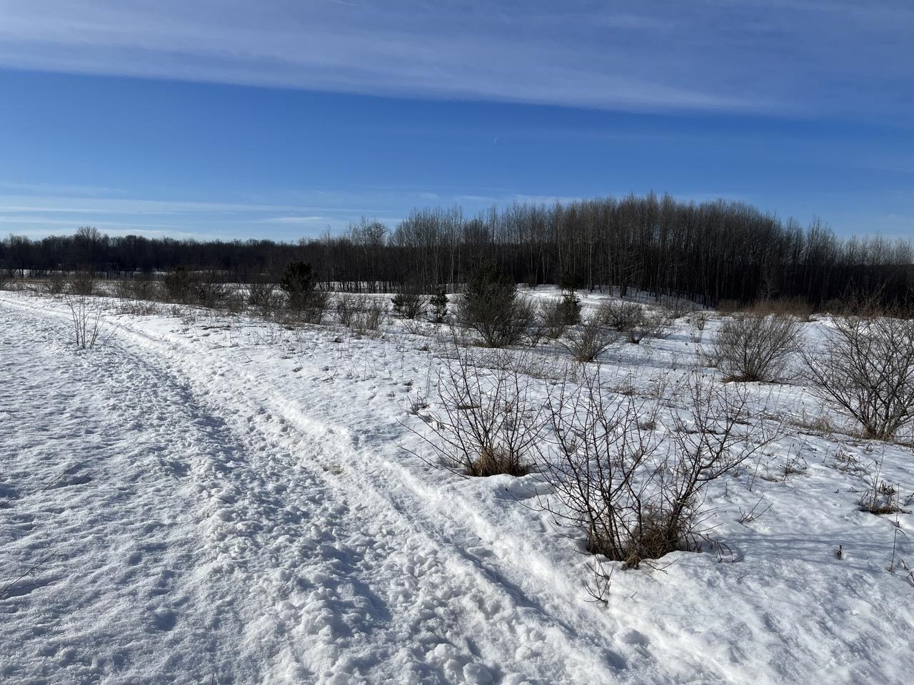 Parcel R Florey's Ranch Road, Unit LOT: R Grawn, MI 49637 - Photo 4 of 6