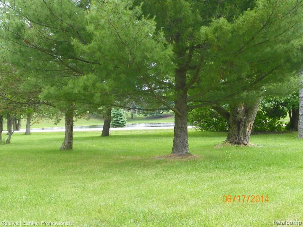6301 Marathon Road Otter Lake, MI 48464 - Photo 6 of 6 6-17-14 059.jpg