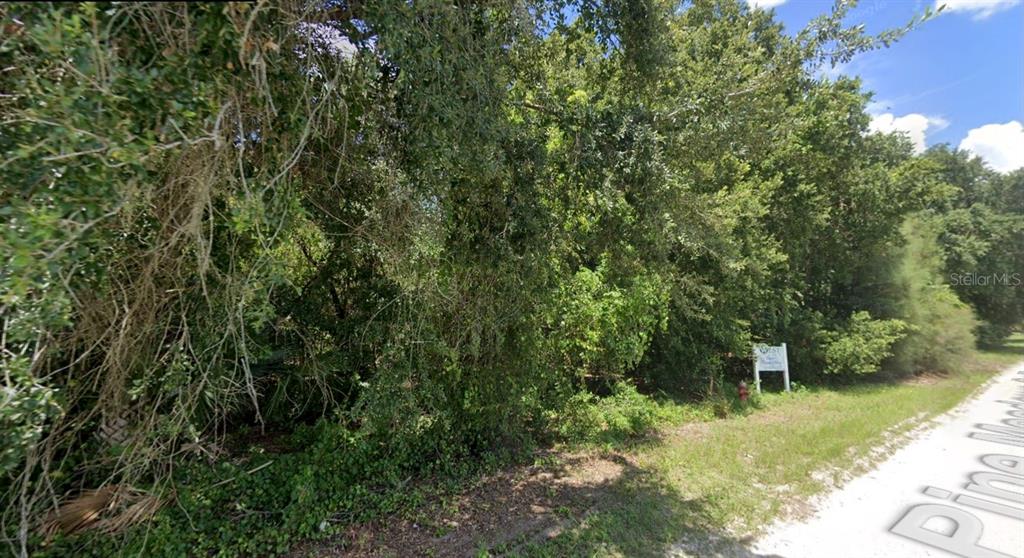 Pine Meadows Road Eustis, FL 32726 - Photo 2 of 3 a view of a forest with a trees