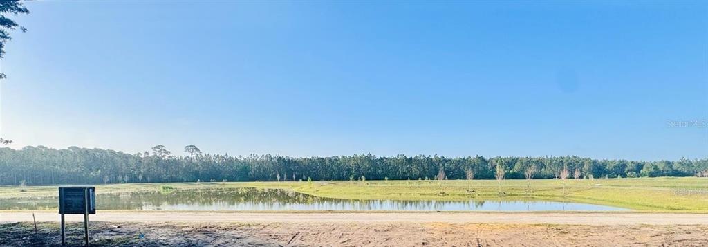 Pine Meadows Road Eustis, FL 32726 - Photo 3 of 3 a view of an ocean beach