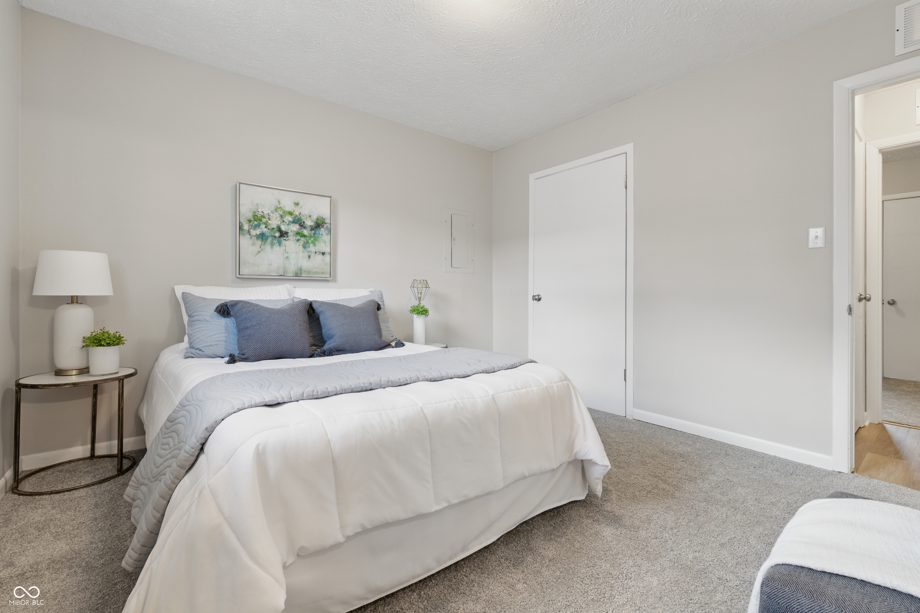 316 South Roena Street Indianapolis, IN 46241 - Photo 13 of 29 Gallery Image 13
