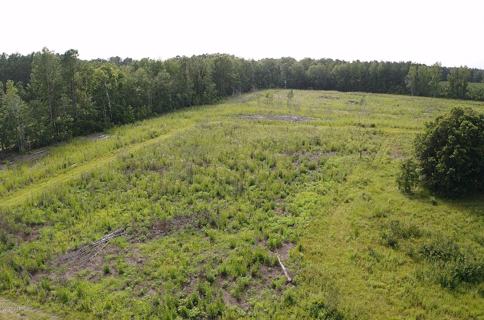 80 Buckner Road Islandton, SC 29929 - Photo 27 of 27 IMG_5654