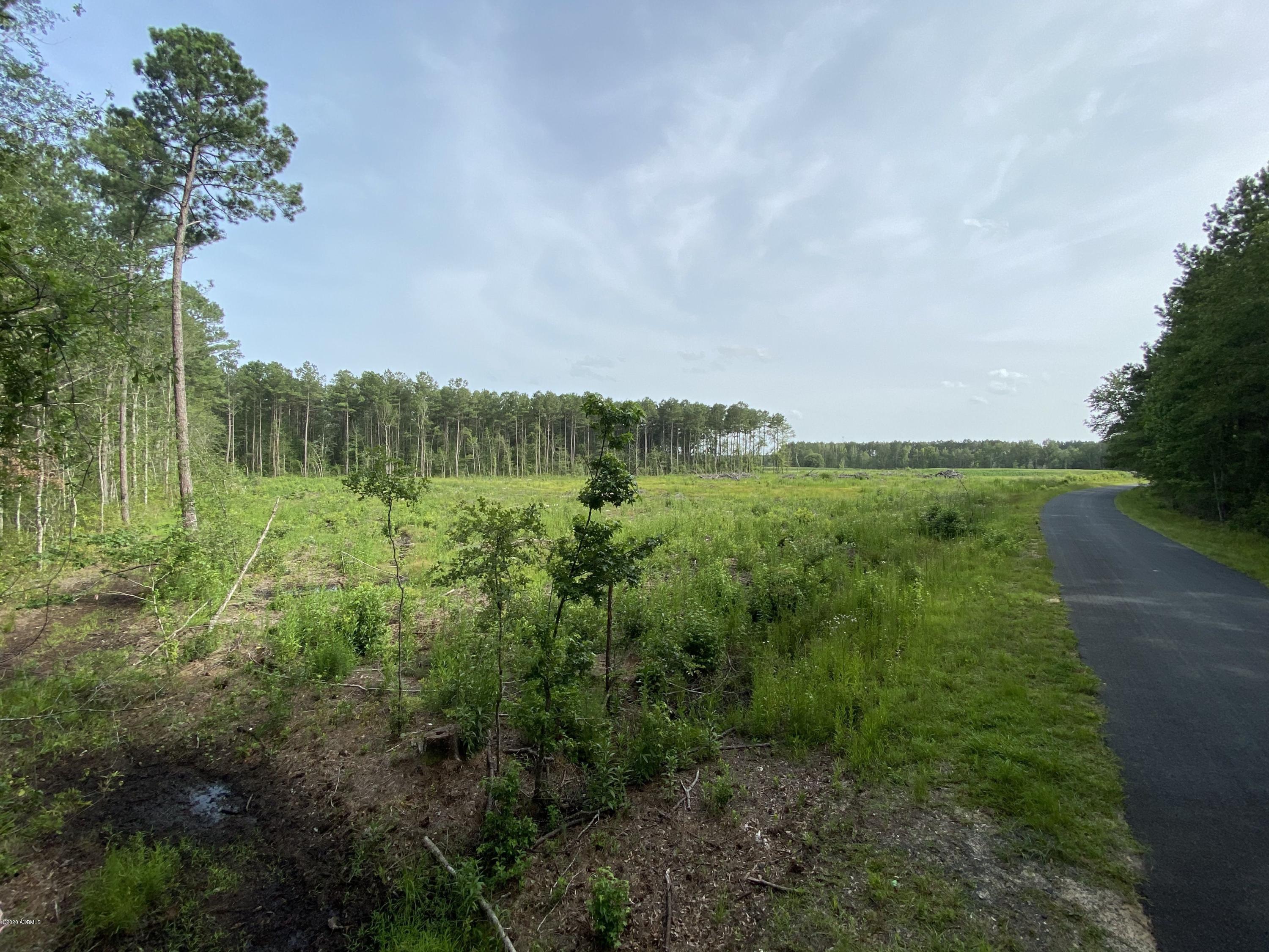80 Buckner Road Islandton, SC 29929 - Photo 3 of 27 03
