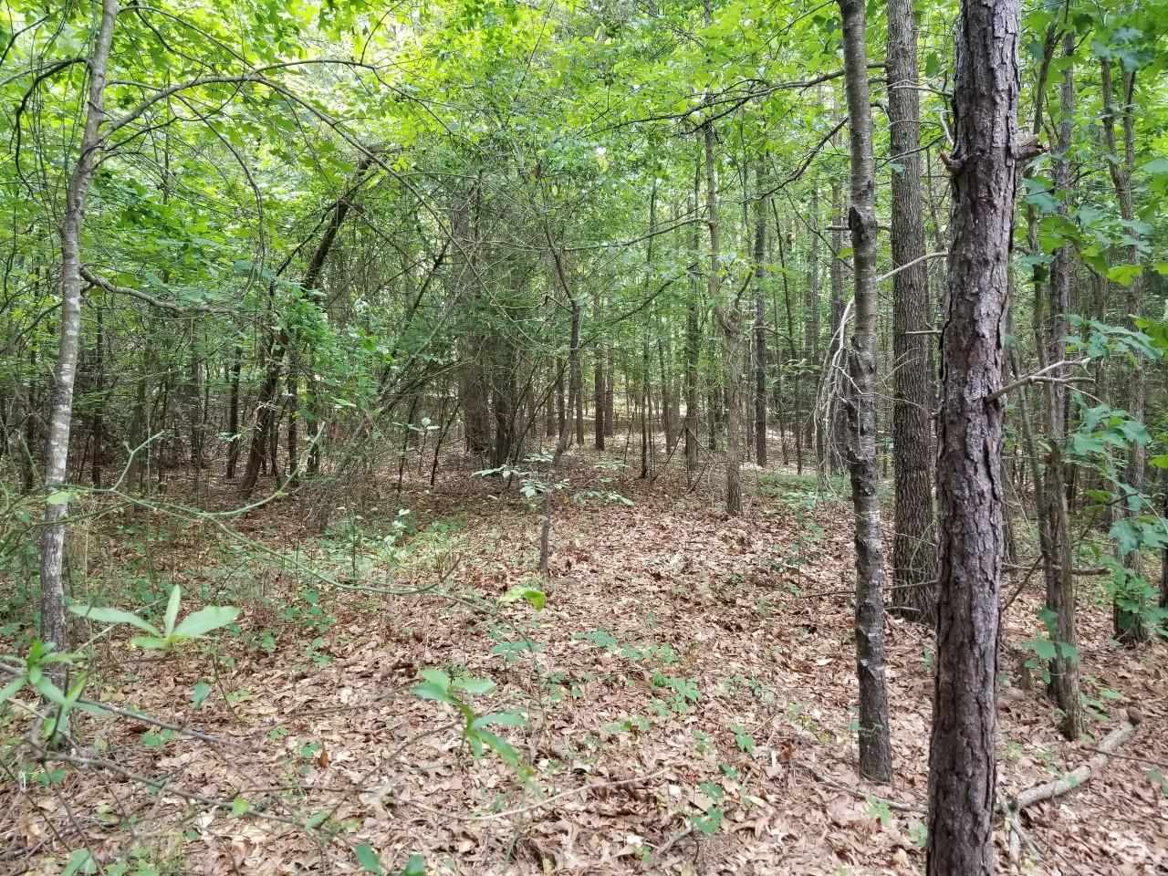 4-acres Big Island Road Rutherfordton, NC 28139 - Photo 12 of 16
