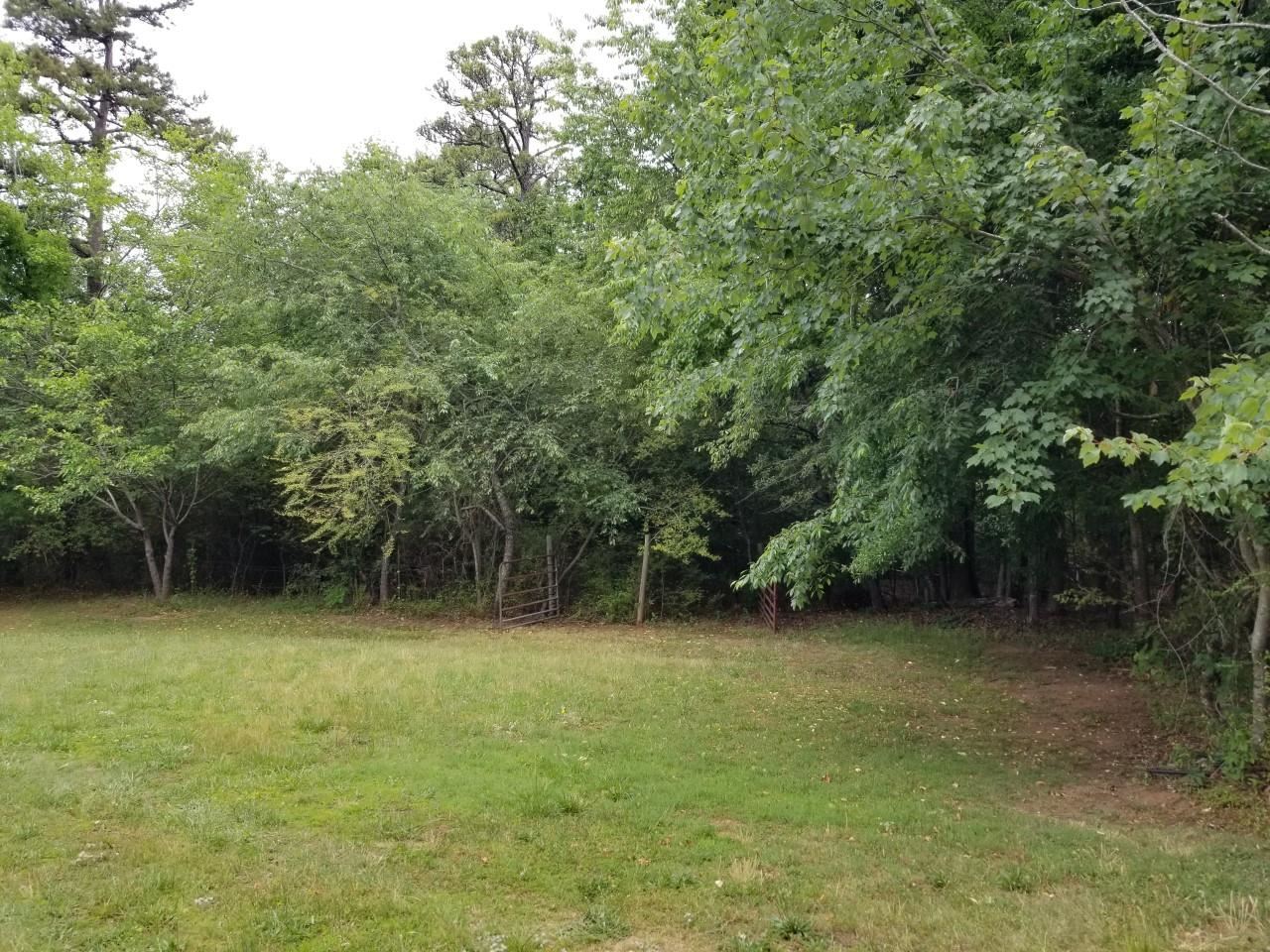 4-acres Big Island Road Rutherfordton, NC 28139 - Photo 5 of 16
