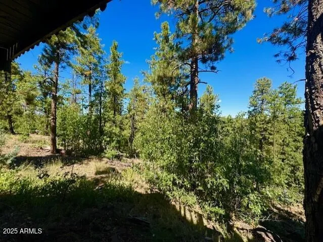 a view of a backyard of the house
