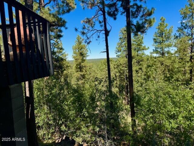 1725 Turkey Mountain Road Happy Jack, AZ 86024 - Photo 24 of 35