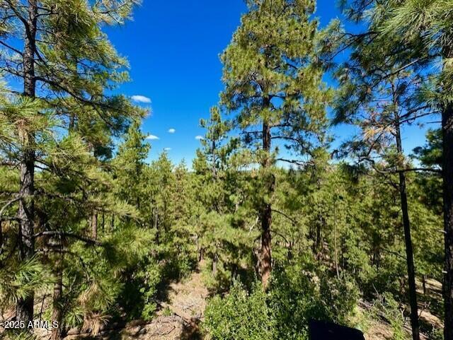 1725 Turkey Mountain Road Happy Jack, AZ 86024 - Photo 26 of 35 a view of a tree