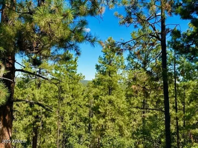 $279,000 | 1725 Turkey Mountain Road, Happy Jack, AZ 86024