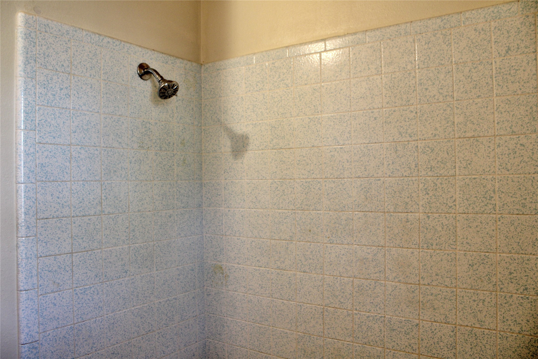 1126 Jackson Street Columbus, TX 78934 - Photo 16 of 40 a bathroom with a shower