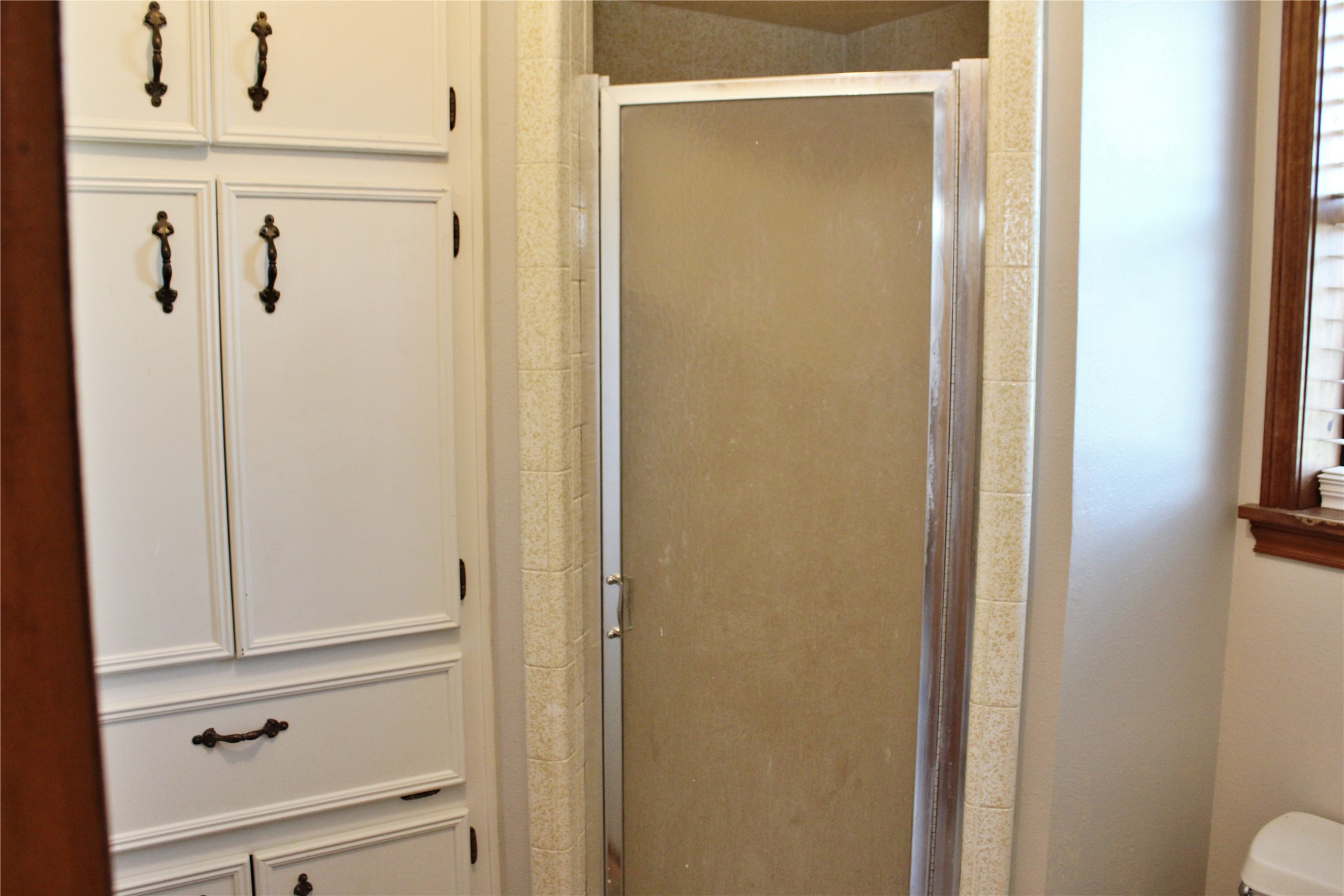 1126 Jackson Street Columbus, TX 78934 - Photo 25 of 40 a bathroom with a shower