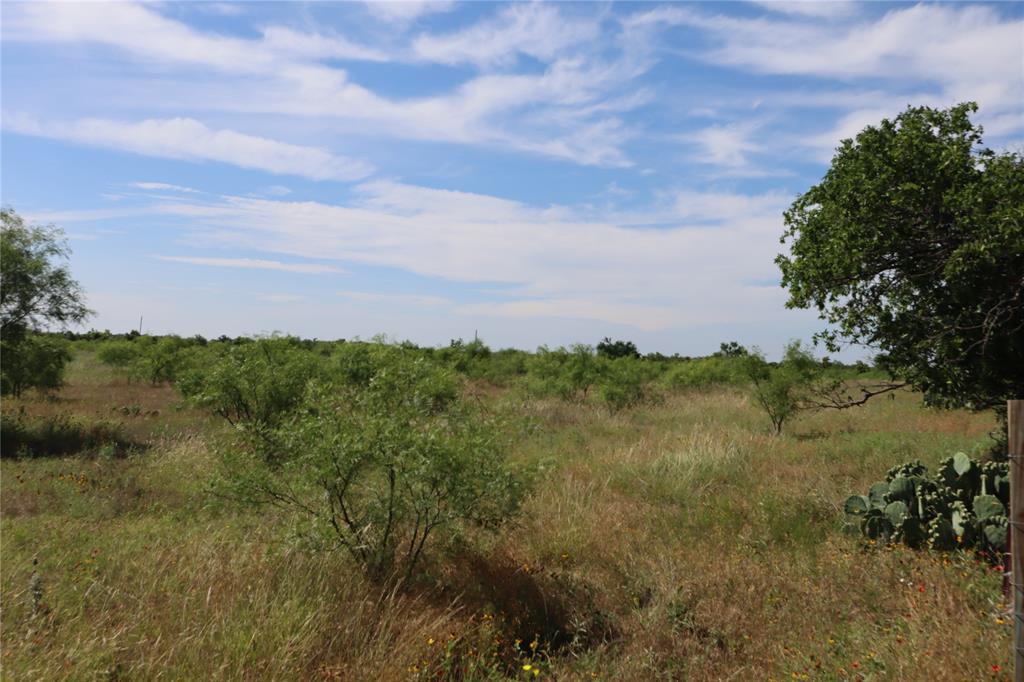 807 County Road 215 Rising Star, TX 76471 - Photo 9 of 9 a view of a bunch of trees and bushes