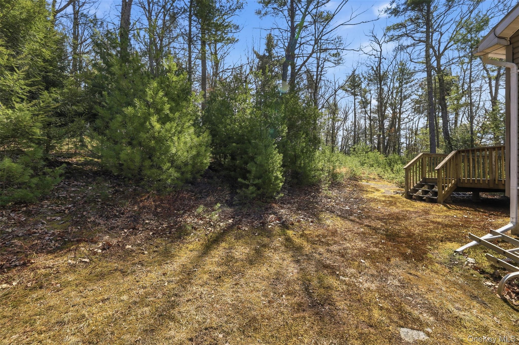 66 Collins Road Eldred, NY 12732 - Photo 5 of 44