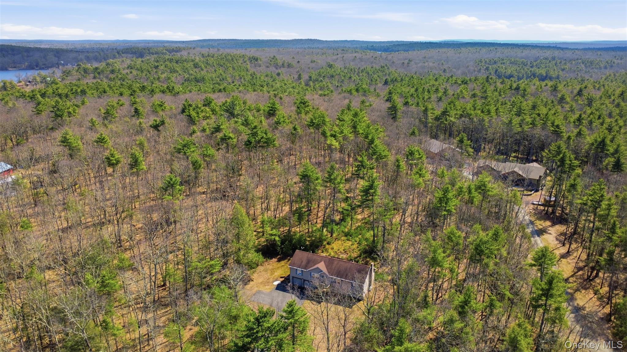 66 Collins Road Eldred, NY 12732 - Photo 6 of 44