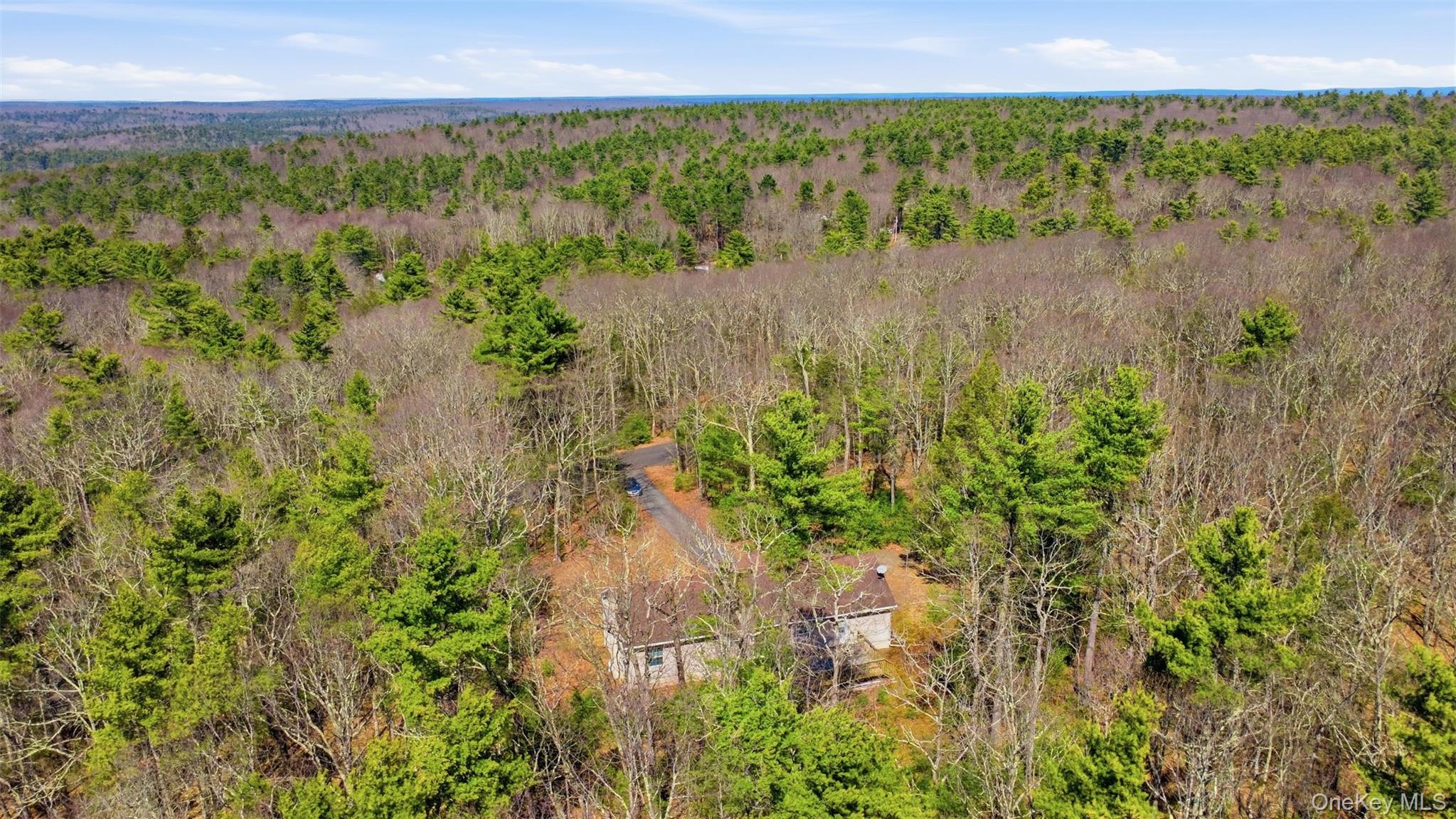 66 Collins Road Eldred, NY 12732 - Photo 7 of 44