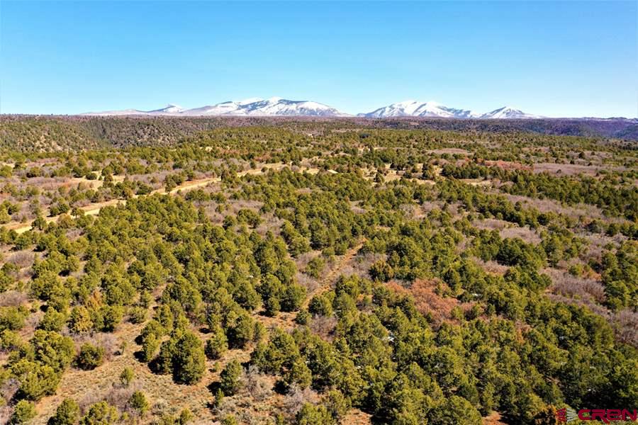 Tbd De Oro Way Hesperus, CO 81326 - Photo 2 of 31 a view of a city with mountains in the background