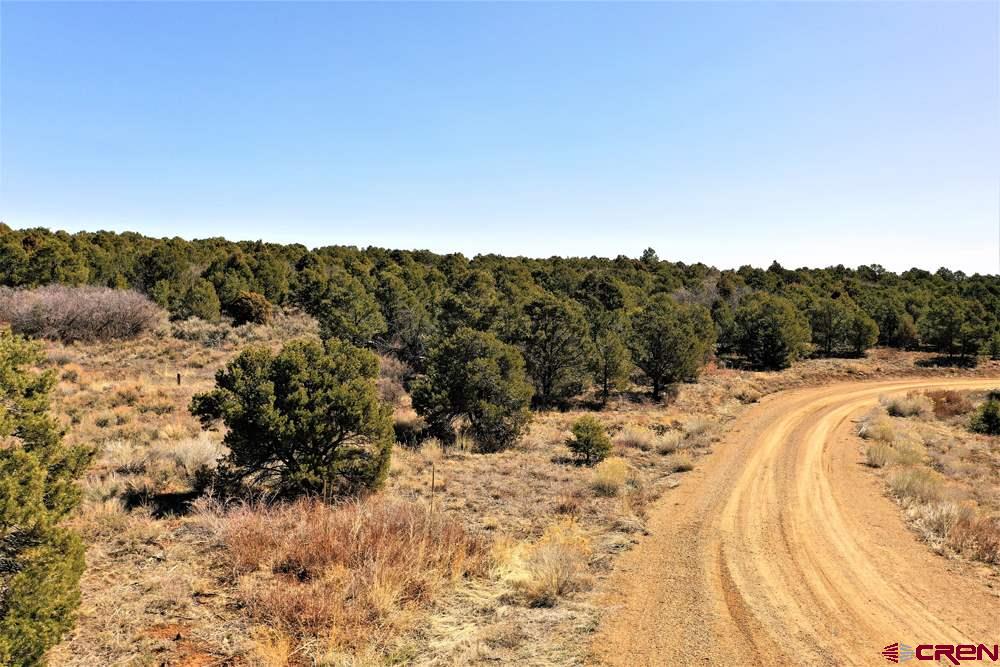 Tbd De Oro Way Hesperus, CO 81326 - Photo 11 of 31 a view of a dry yard with trees