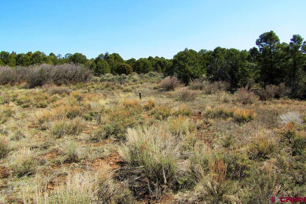 Tbd De Oro Way Hesperus, CO 81326 - Photo 12 of 31 a view of a field