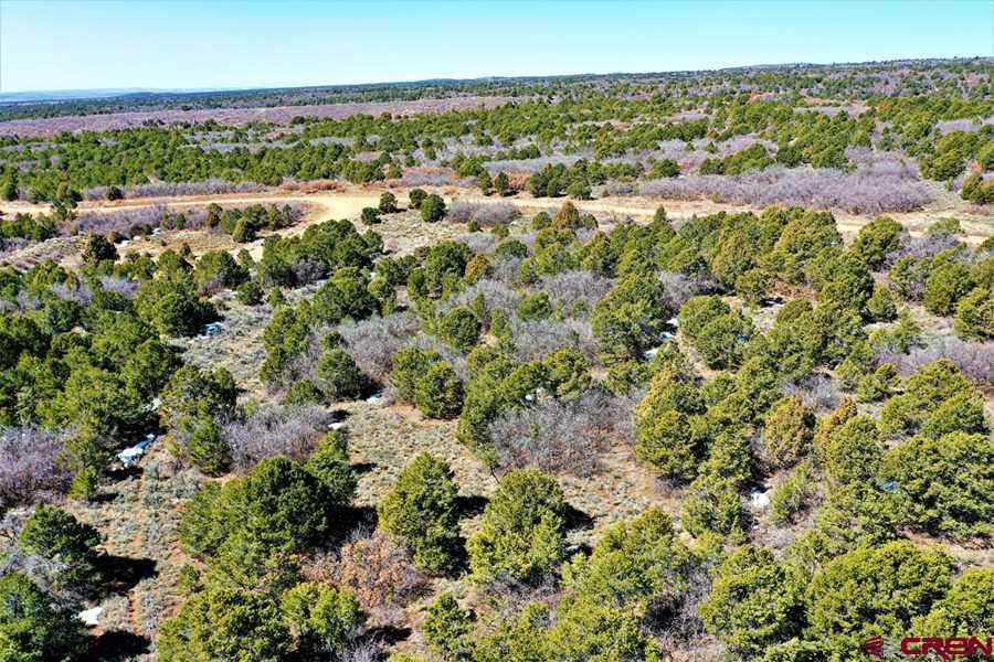 Tbd De Oro Way Hesperus, CO 81326 - Photo 13 of 31 an aerial view of a city