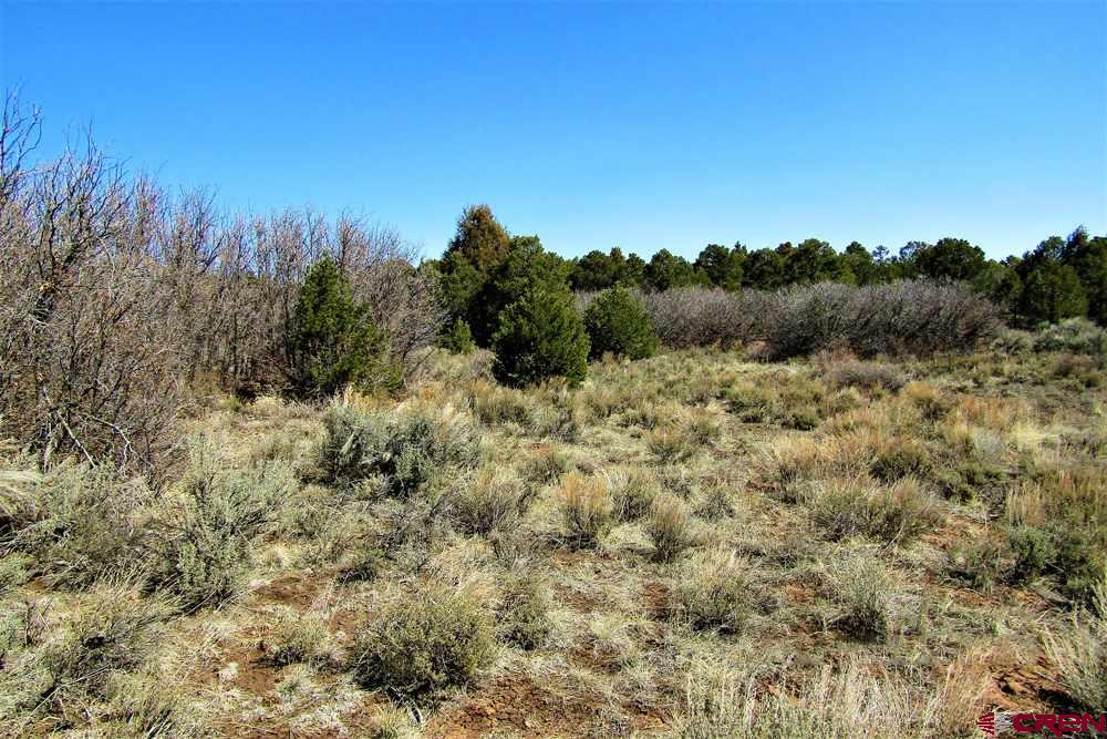 Tbd De Oro Way Hesperus, CO 81326 - Photo 15 of 31 a view of a field with a tree in the background