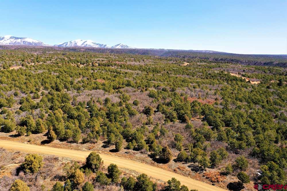 Tbd De Oro Way Hesperus, CO 81326 - Photo 16 of 31 a view of a city with mountains in the background