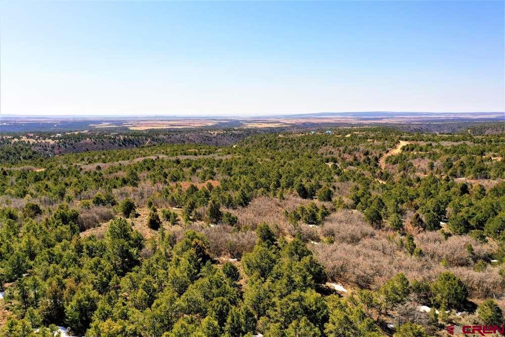Tbd De Oro Way Hesperus, CO 81326 - Photo 19 of 31 a view of a city with lush green forest