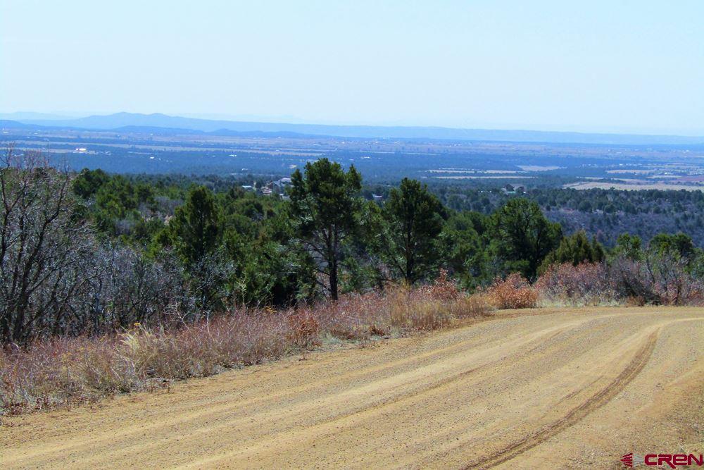 Tbd De Oro Way Hesperus, CO 81326 - Photo 21 of 31 front view of a house with a yard