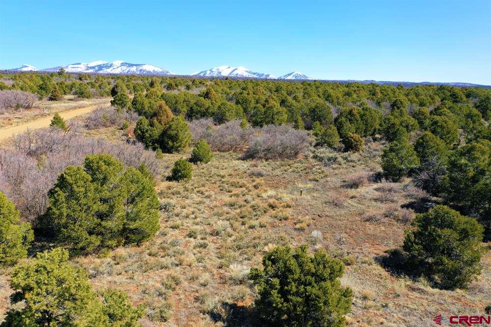 Tbd De Oro Way Hesperus, CO 81326 - Photo 22 of 31 a view of a lake with mountains in the background