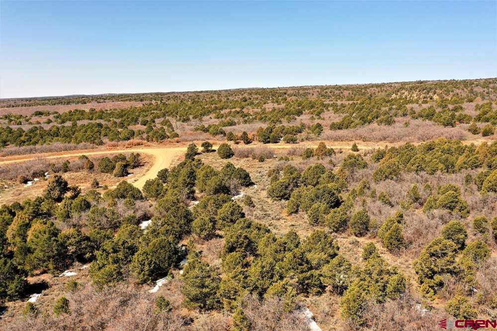 Tbd De Oro Way Hesperus, CO 81326 - Photo 23 of 31 an aerial view of residential houses with outdoor space