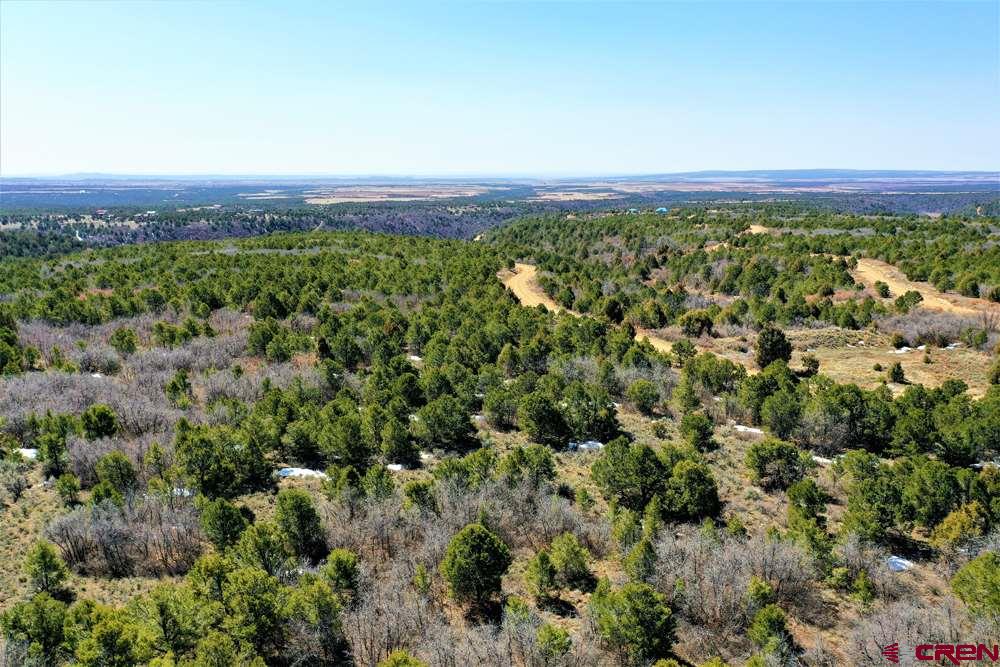 Tbd De Oro Way Hesperus, CO 81326 - Photo 24 of 31 an aerial view of residential houses with outdoor space and trees