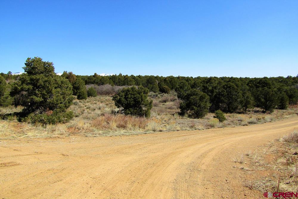 Tbd De Oro Way Hesperus, CO 81326 - Photo 27 of 31 a view of ocean view