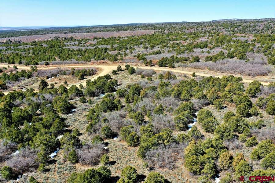 Tbd De Oro Way Hesperus, CO 81326 - Photo 29 of 31 a view of a city