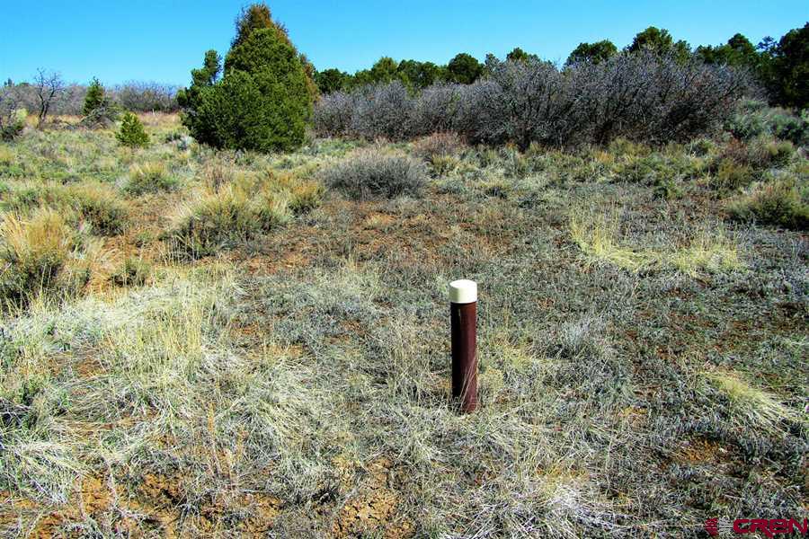 Tbd De Oro Way Hesperus, CO 81326 - Photo 4 of 31