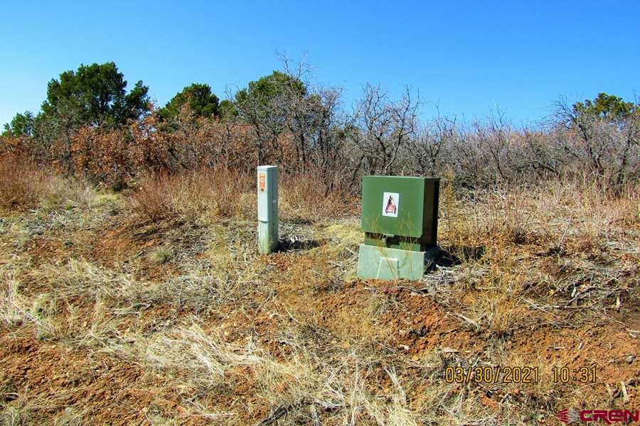 Tbd De Oro Way Hesperus, CO 81326 - Photo 5 of 31 a green field with trees in the background