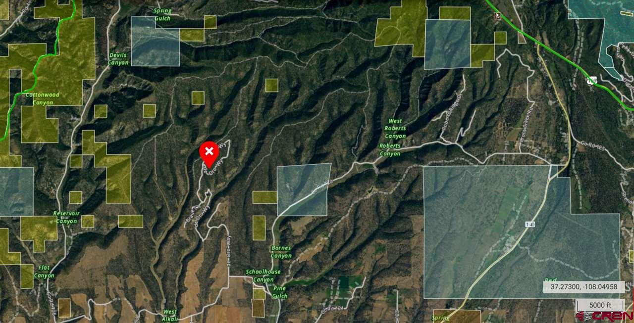 Tbd De Oro Way Hesperus, CO 81326 - Photo 9 of 31 a close up of a plant in a garden