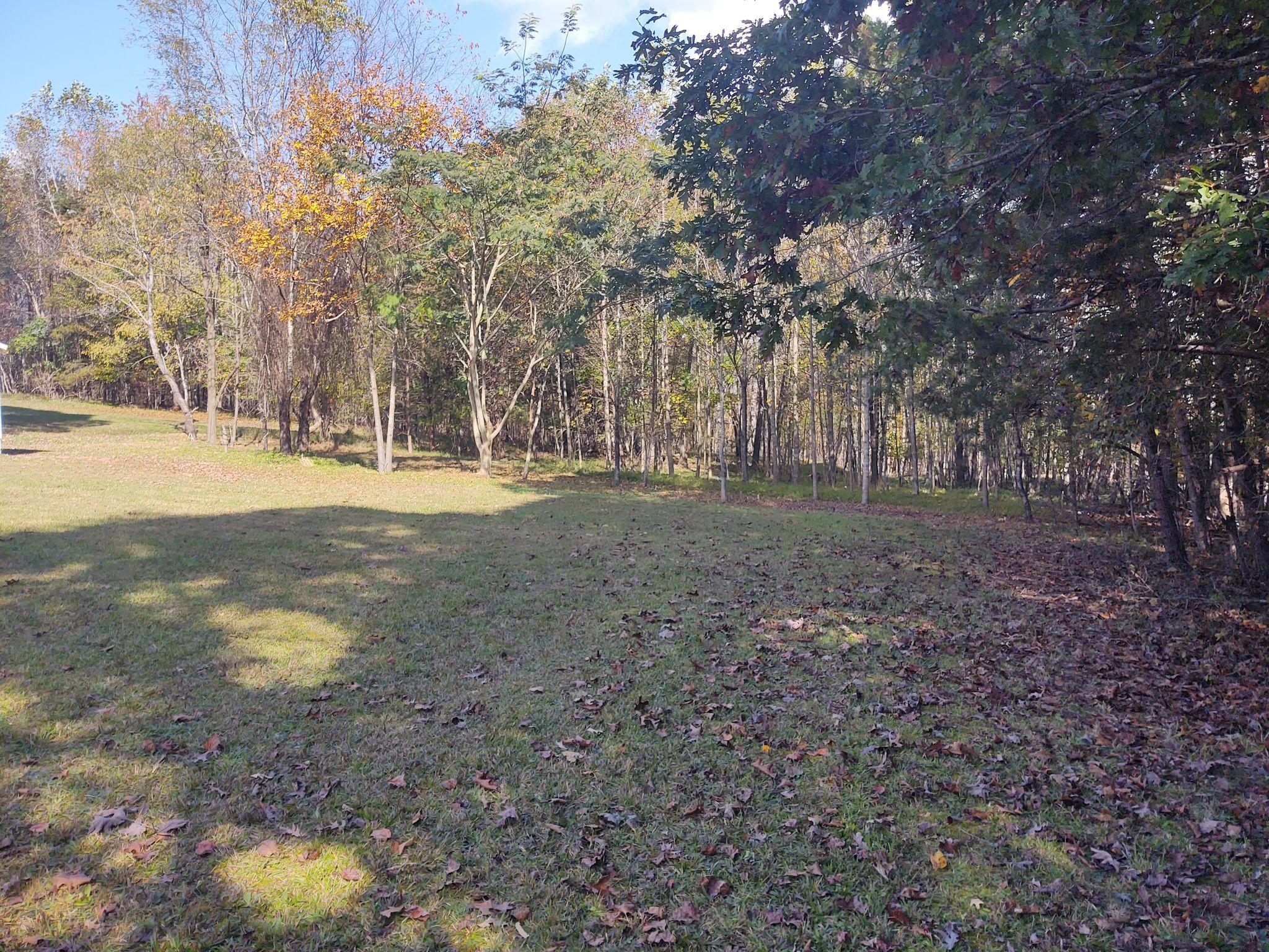 1665 Kings Mill Road Ridgeway, VA 24148 - Photo 31 of 33 27 Back Yard