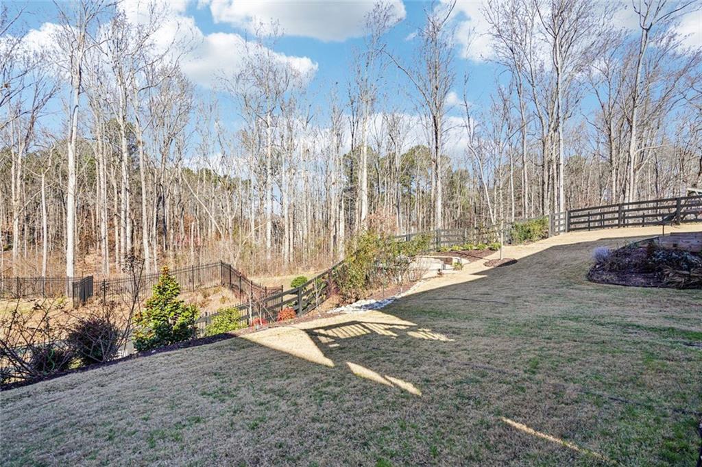 252 Wild Rose Circle Canton, GA 30115 - Photo 61 of 62