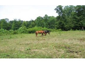 5011 Little Flock Road Spencer, IN 47460 - Photo 11 of 16