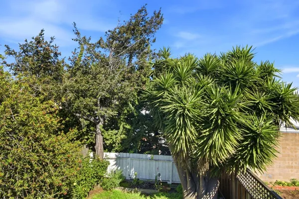 $4,950 | 120 Linden Avenue, San Bruno, CA 94066