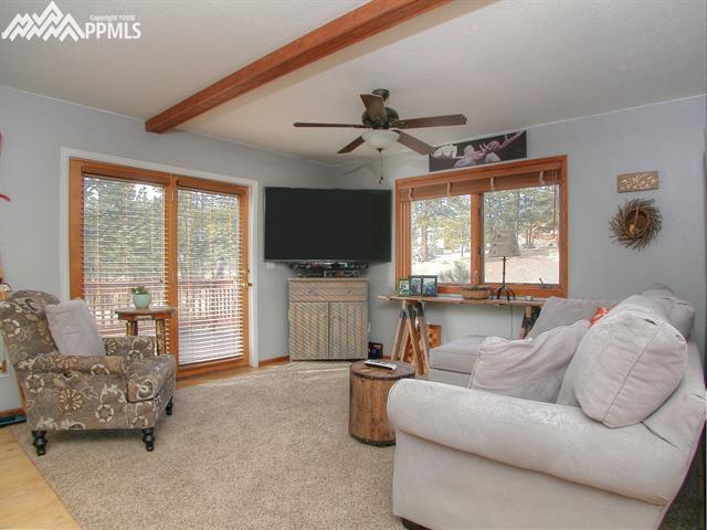 364 Stagecoach Road Guffey, CO 80820 - Photo 4 of 35 Gallery Image 4
