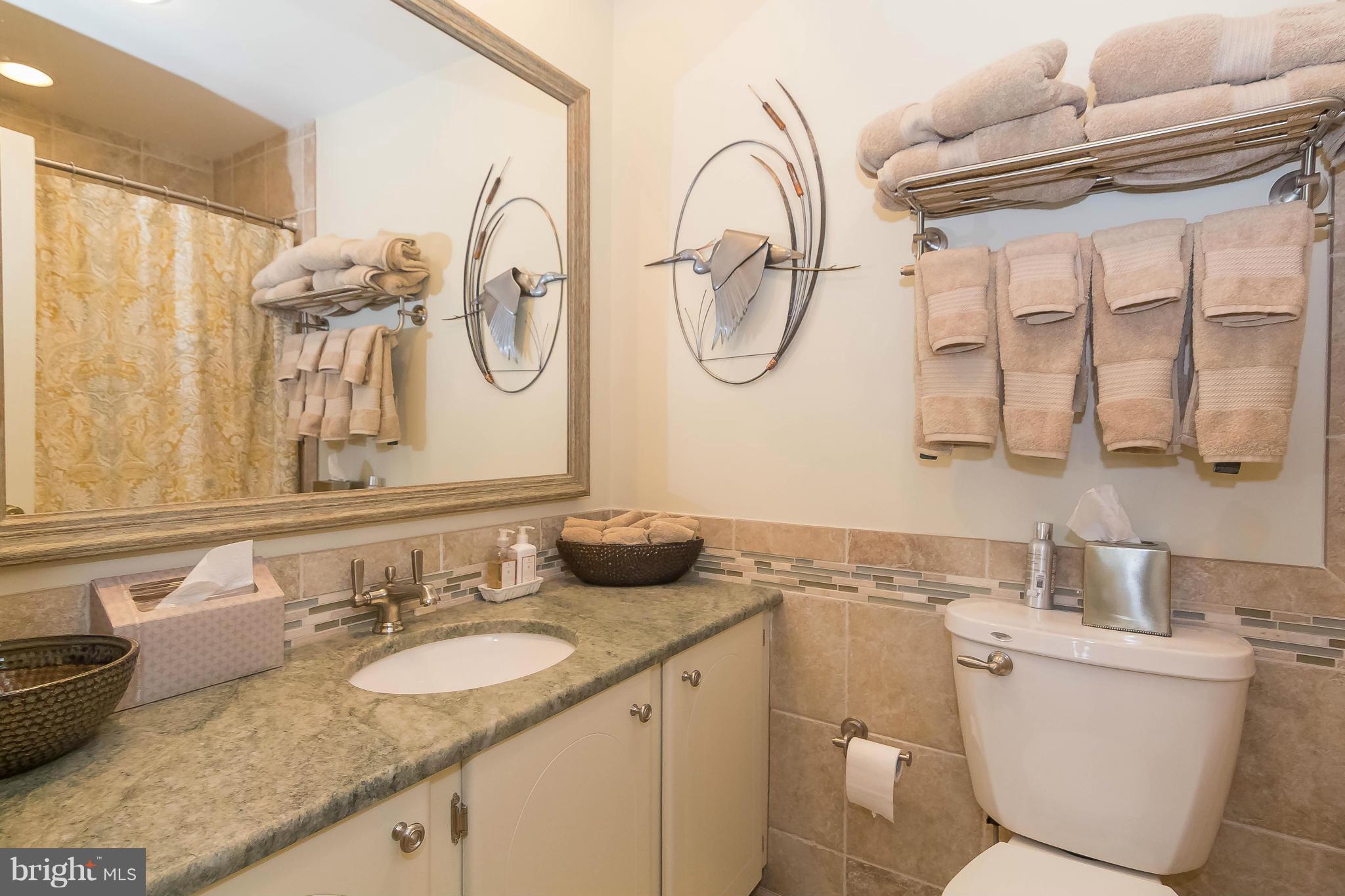 5520 Cassons Neck Road Cambridge, MD 21613 - Photo 18 of 22 Bath (Master)