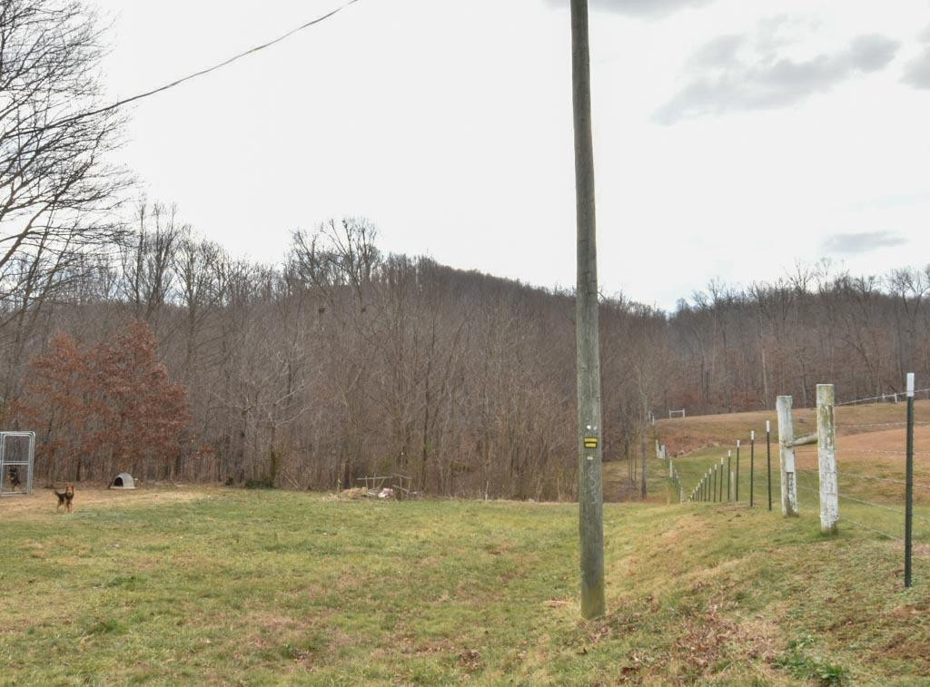 11978 Lebanon Road Perryville, KY 40468 - Photo 4 of 4 Photo 4