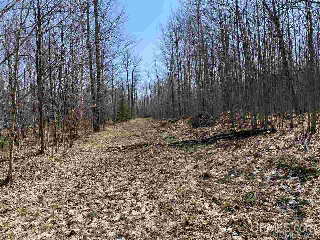 Off Nelson Road Glidden, WI 54527 - Photo 8 of 23