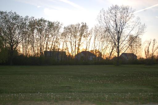 a view of outdoor space with green field and trees