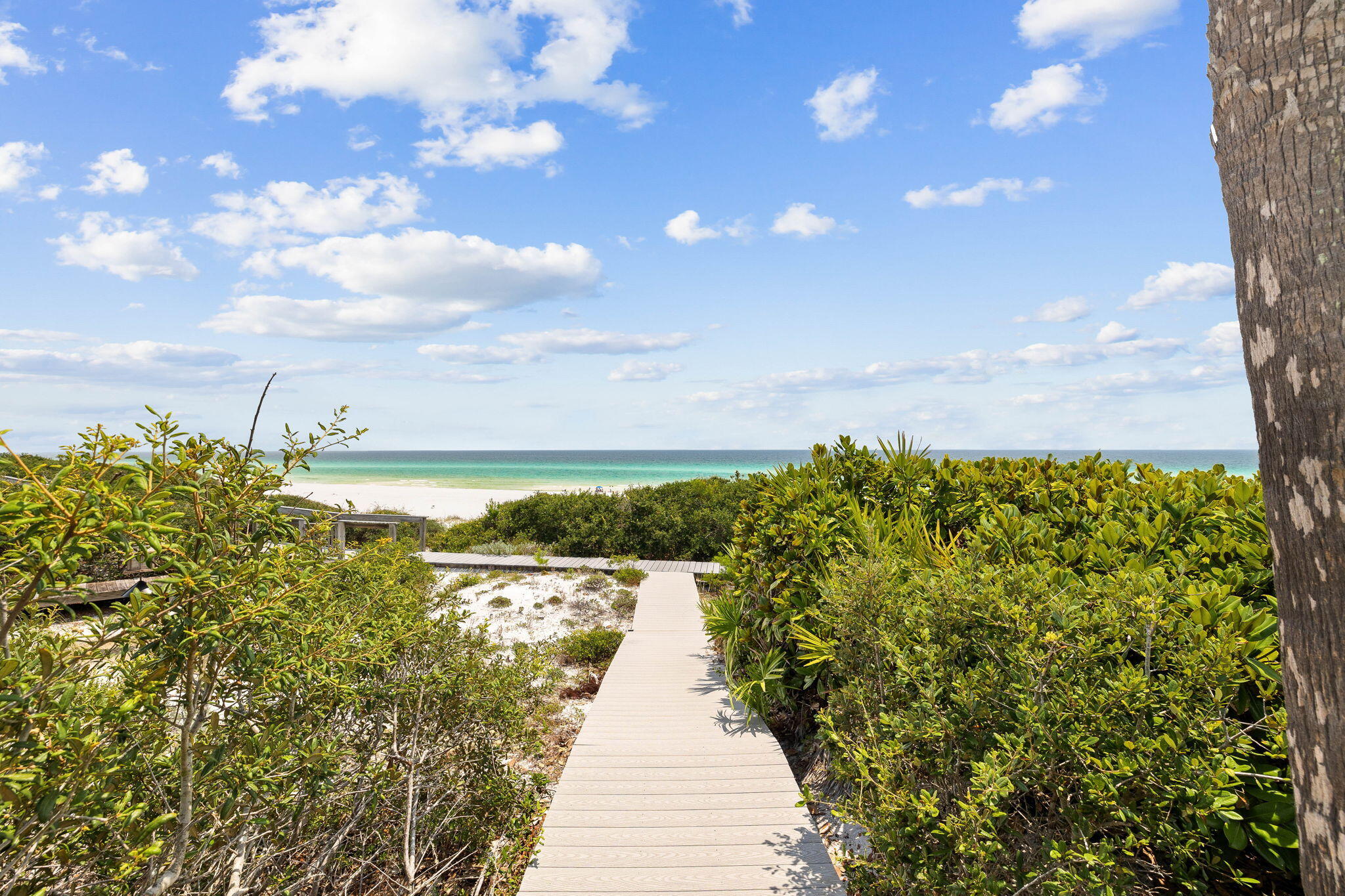 357 Old Beach Road Santa Rosa Beach, FL 32459 - Photo 77 of 106 a view of a pathway both side of river